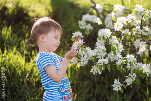 Little boy playing in blooming garden.