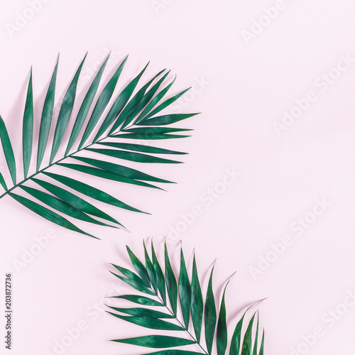 Summer tropical composition. Green tropical leaf on pink background. Summer concept. Flat lay, top view, copy space, square