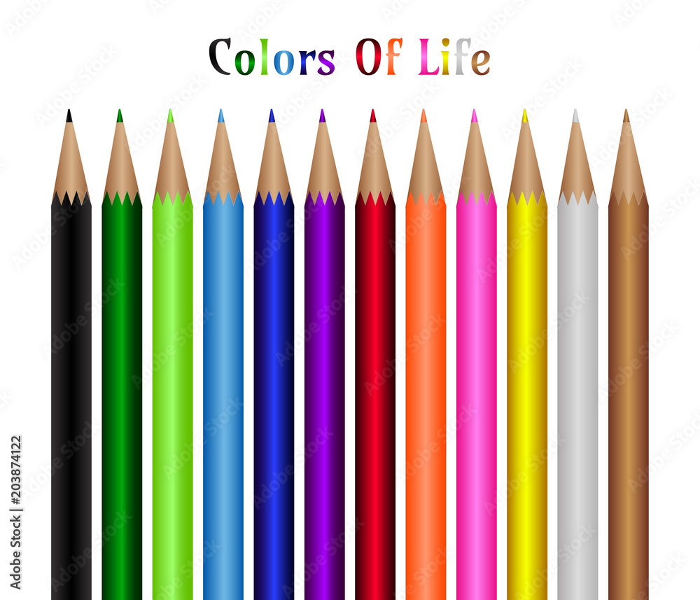 Colored pencils, 12 basic colors of pencil, Colors of Life Stock Vector