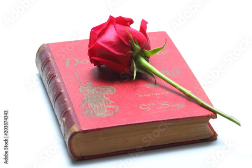 libro y rosas , don quijote.