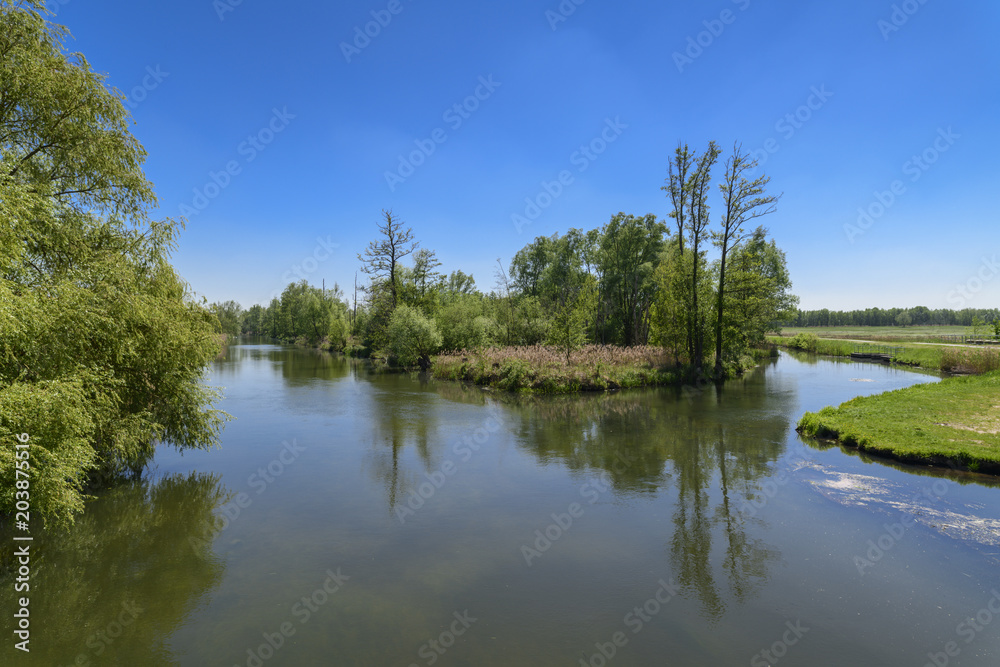 Landschaft im Spreewald erwacht im Frühling