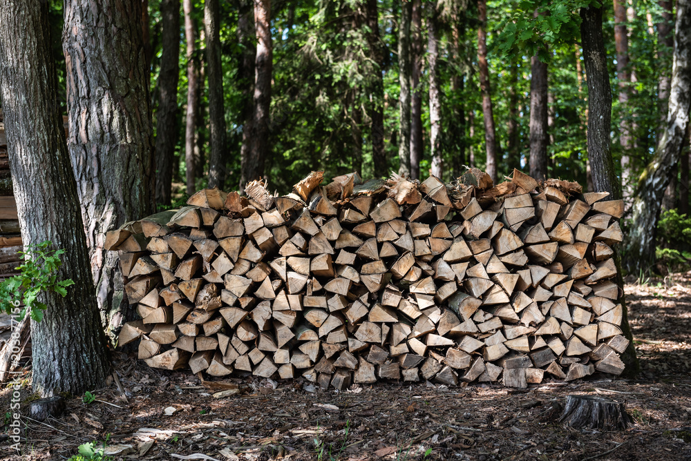 Holzstapel im Wald zum trocknen