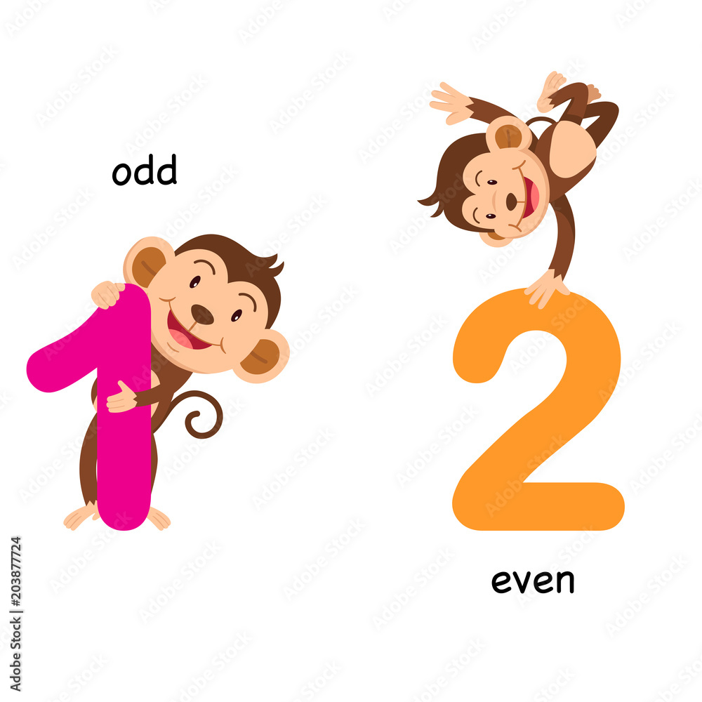 Opposite odd and even vector illustration Stock Vector | Adobe Stock