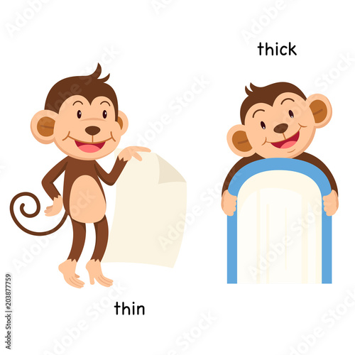 Opposite thin and thick vector illustration