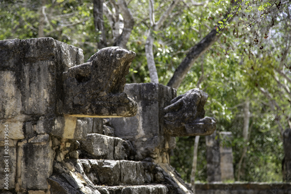 Dragons and rattlesnakes carved from stone accompany almost all the buildings of Chichen Itza