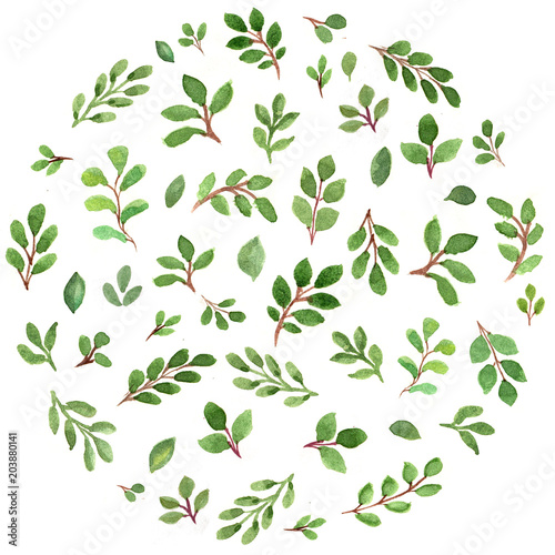 Patterned round with green leaves