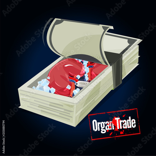 Stack of money with human Kidney inside. organ trade concept - vector