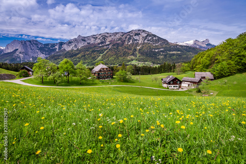 Beautiful green valley in Austrian Alps in spring, Europe