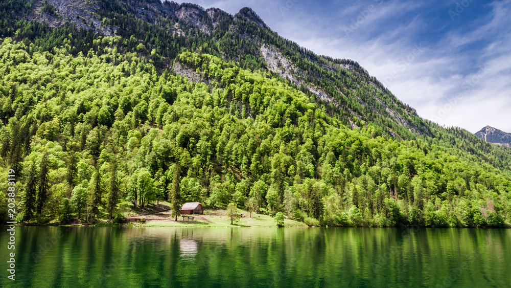 Forest and lake Konigssee in the German Alps, Europe Forest and lake Konigssee in the German Alps, Europe