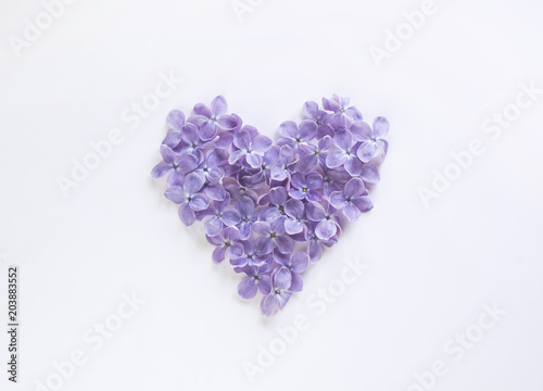 Heart shaped flowers of lilac isolated on a white bachground