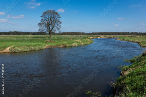 Liwiec river in Liw near Wegrow, Masovia, Poland