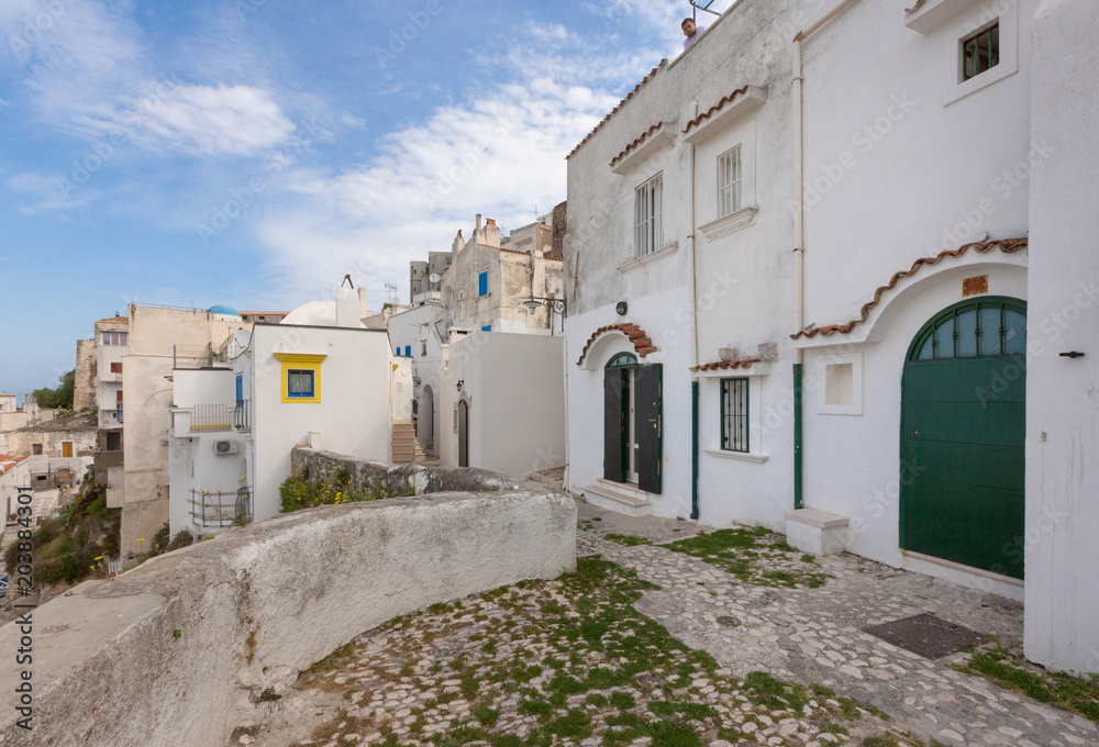 Peschici (Puglia, Italy) - View of the little picturesque village in south Italy