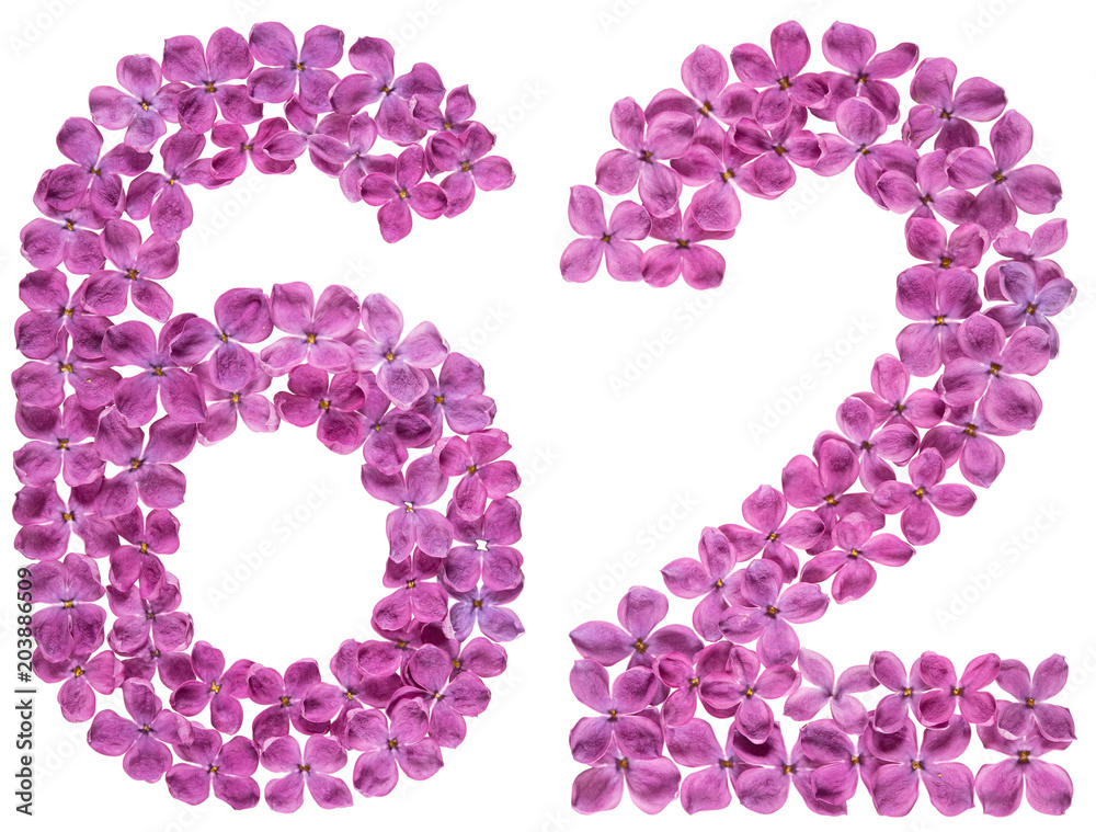 Arabic numeral 62, sixty two, from flowers of lilac, isolated on white background Arabic numeral 62, sixty two, from flowers of lilac, isolated on white background