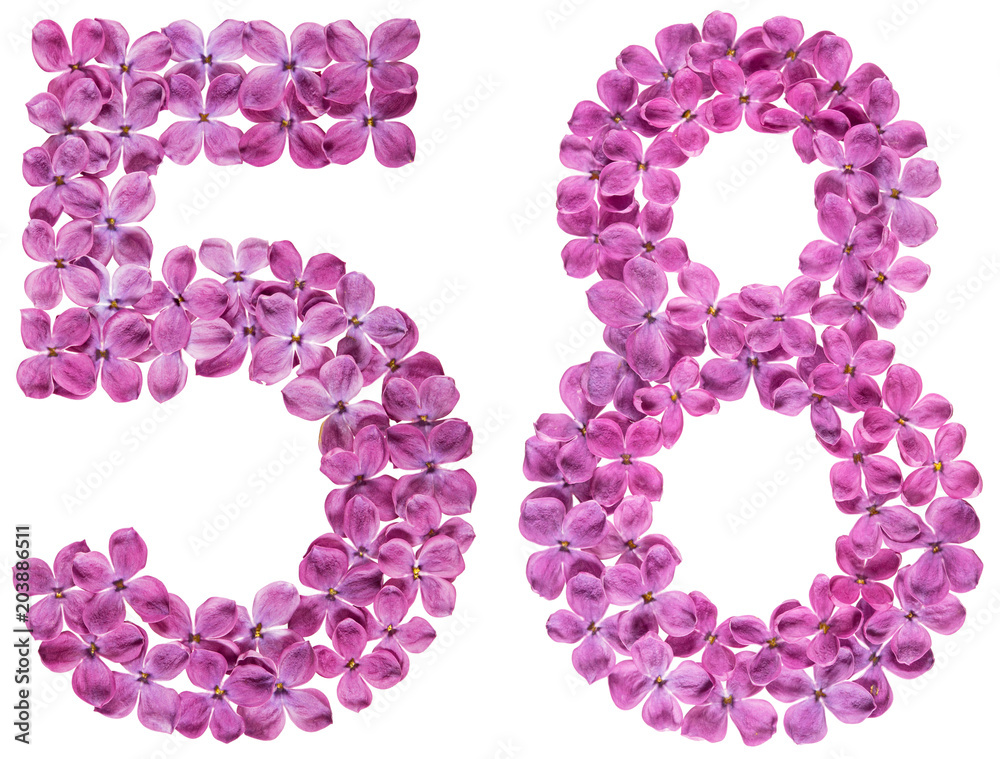 Arabic numeral 58, fifty eight, from flowers of lilac, isolated on white background Arabic numeral 58, fifty eight, from flowers of lilac, isolated on white background