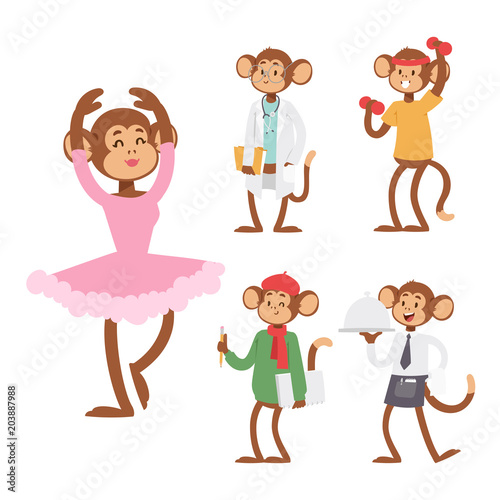 Monkeys rare animal vector cartoon macaque like people nature primate character wild zoo ape chimpanzee illustration.