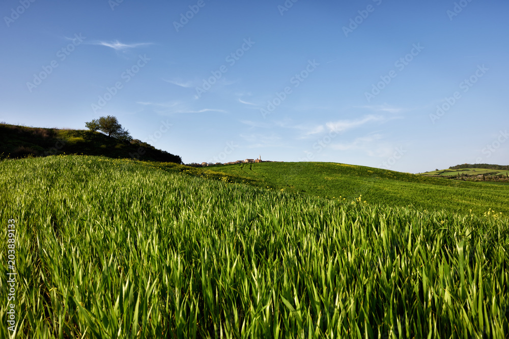 The hill of Tuscany, paradise is next /Tuscany My country My love, LOVELY EARTH from Italy, Tuscany land The hill of Tuscany, paradise is next /Tuscany My country My love, LOVELY EARTH from Italy, Tuscany land