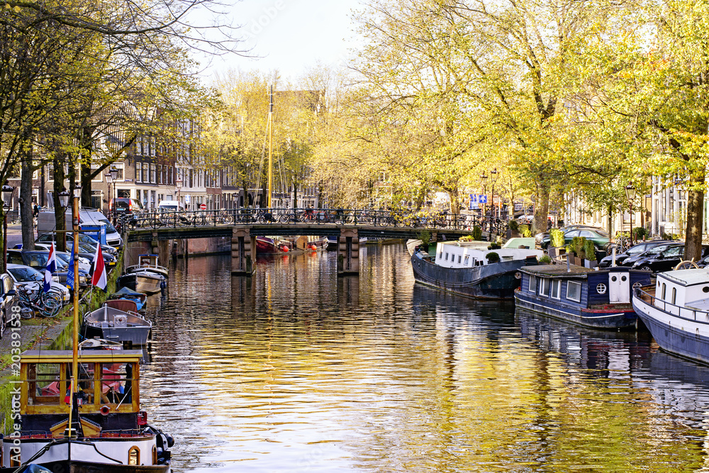 View on beautiful Amsterdam, capital of the Netherlands, with canal, houseboats, trees, water and reflections