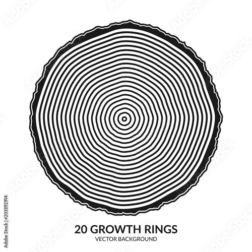 20 growth rings. Tree rings and saw cut tree trunk. Can be used as 20th anniversary concept. Vector illustration