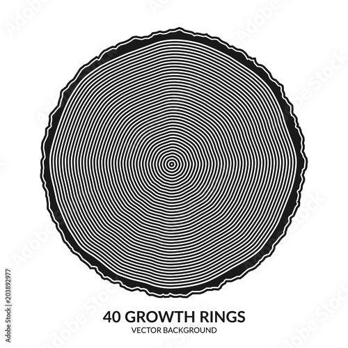40 growth rings. Tree rings and saw cut tree trunk. Can be used as 40th anniversary concept. Vector illustration