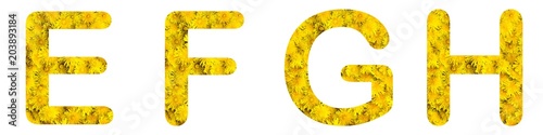 Flower font alphabet e, f, g, h, made of alive flowers dandelions.