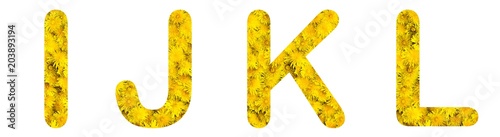 Flower font alphabet i,j,k,l, made of alive flowers dandelions.