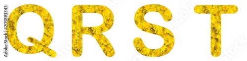 Flower font alphabet q, r, s, t, made of alive flowers dandelions.