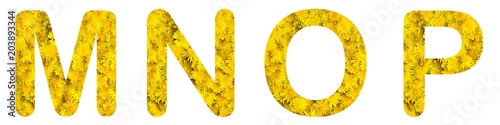 Flower font alphabet m, n, o, p, made of alive flowers dandelions