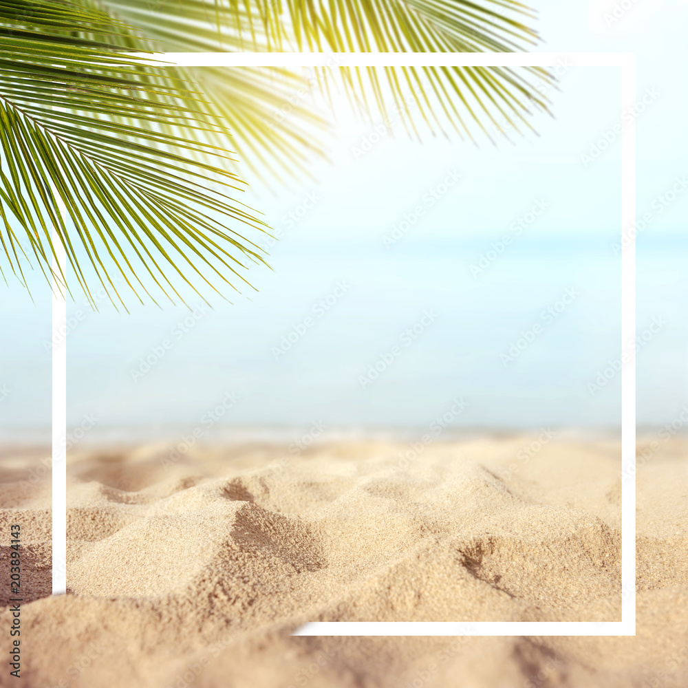 Sand with Palm and tropical beach and sea background with frame design for  creative advertising Summer vacation and travel concept. Copy space Stock  Photo | Adobe Stock