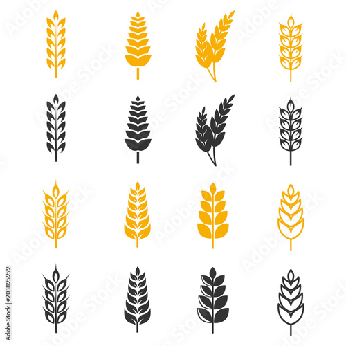 Black and yellow wheat ears silhouettes vector icons