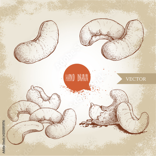 Hand drawn sketch style cashew set. Single, whole fresh and roasted nuts. Organic food vector illustrations. Artwork isolated on retro background.