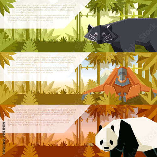 Set of flat banners with asian animals