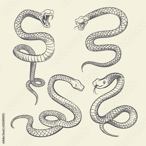 Fotografie, Obraz Hand drawing snake set