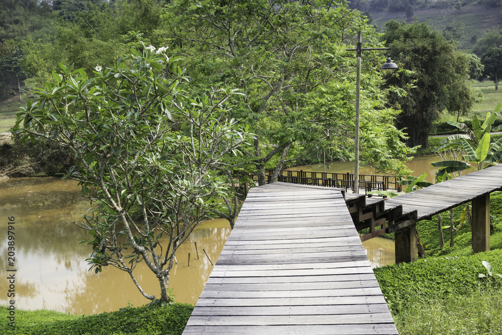 Wooden walkway to tropical garden