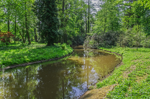 Fototapeta Naklejka Na Ścianę i Meble -  Rzeka wiosną w parku.