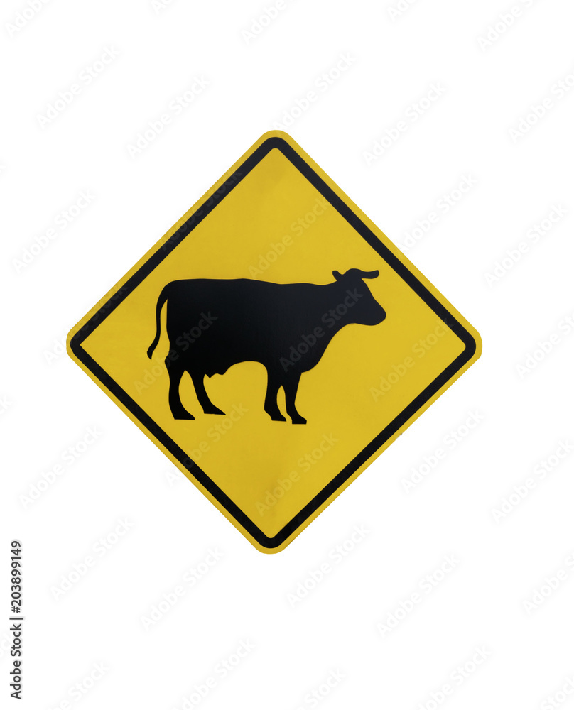 yellow Traffic Signs” Beware of cow or animal “ isolated at on white background of file with Clipping Path . yellow Traffic Signs” Beware of cow or animal “ isolated at on white background of file with Clipping Path .