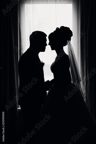 silhouette of a couple in love bride and groom on the wedding day