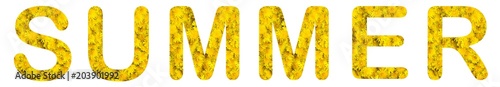 Flower word "SUMMER" made of alive flowers dandelions.