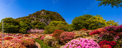 Tablou pe pânză 御船山楽園_佐賀県武雄市