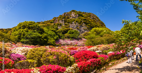Photography 御船山楽園_佐賀県武雄市