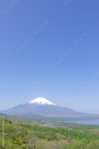 パノラマ台からの富士山 © sunftaka77