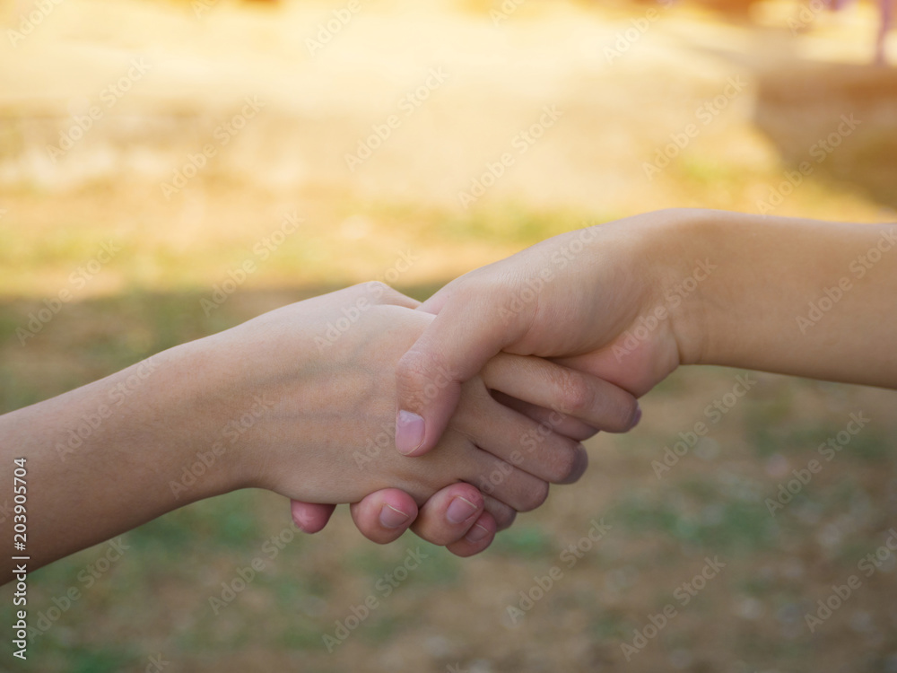 Closeup of handshake with nature background Closeup of handshake with nature background