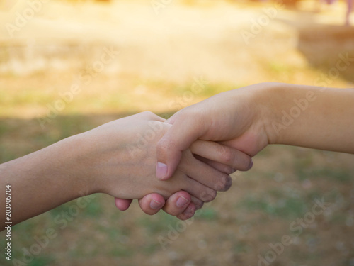 Closeup of handshake with nature background © meeboonstudio