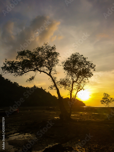  tree and sunset at Koh Bulone beach, Satun Thailand photo