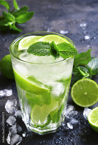 Cold summer drink mojito in a tall glass.
