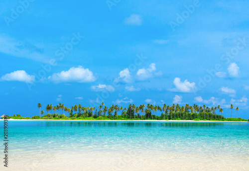  beach and tropical sea