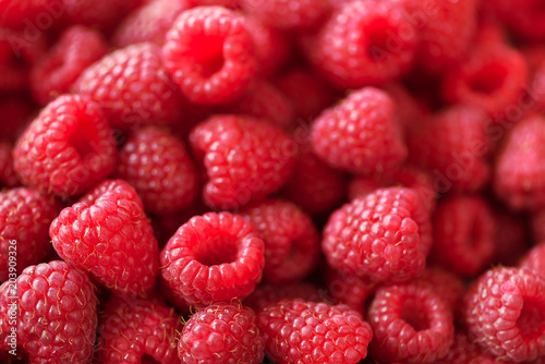 Ripe raspberries macro. Selective focus. Fruit background with copy space. Summer and berries harvest concept. Vegan, vegetarian, raw food.