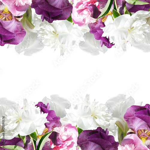 Fototapeta Naklejka Na Ścianę i Meble -  Beautiful floral background with peonies and irises 