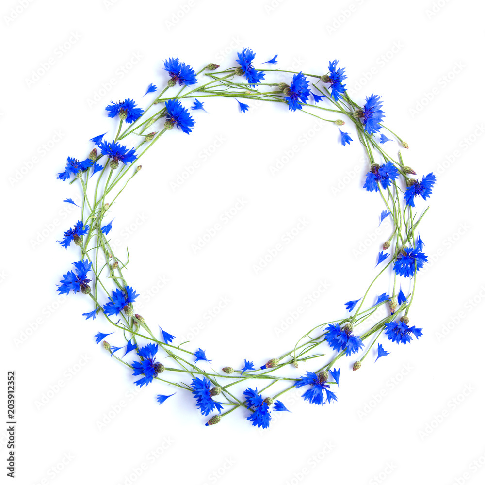 Rustic round Frame of Blue Cornflower on white background