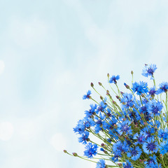 Rustic background with bouquet Blue Cornflower