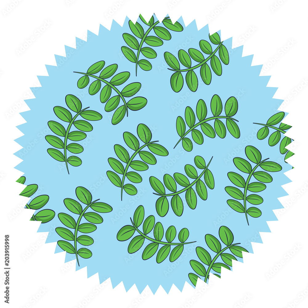 seal stamp with leaves pattern over white background, colorful design. vector illustration seal stamp with leaves pattern over white background, colorful design. vector illustration